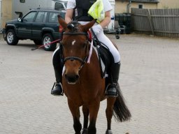 250806_10150929586703585_1612067029_n_web